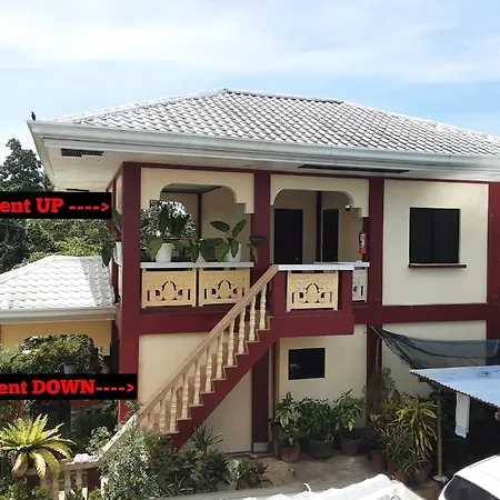 Peace Lily Studio Apartments Panglao Exterior photo