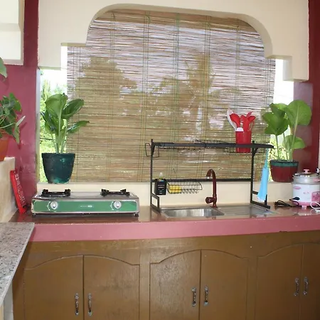 Peace Lily Studio Apartments Panglao Exterior photo