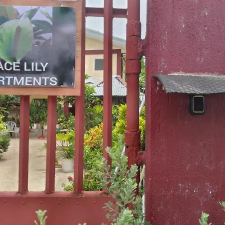 Peace Lily Studio Apartments Panglao Exterior photo