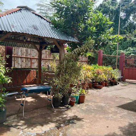 Peace Lily Studio Apartments Panglao Exterior photo