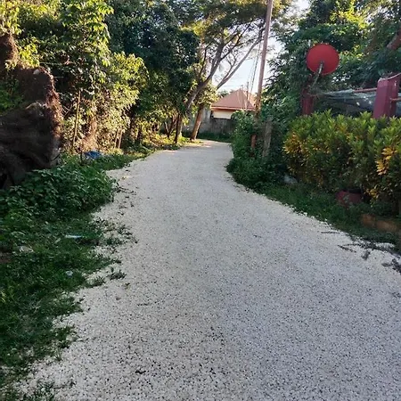 Peace Lily Studio Apartments Panglao Exterior photo