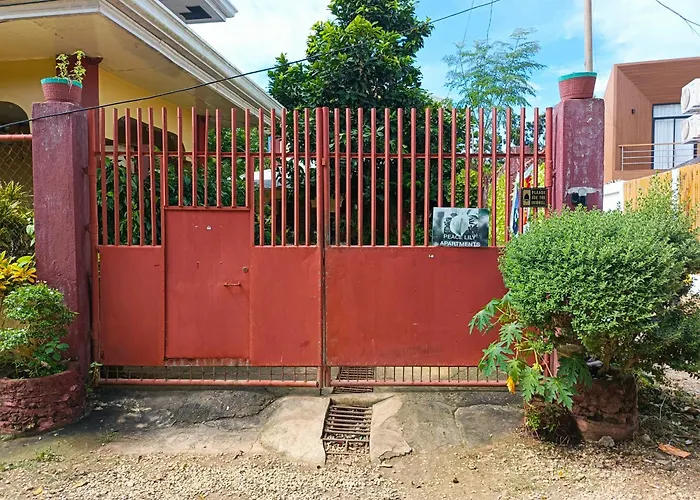 Peace Lily Studio Apartments Panglao