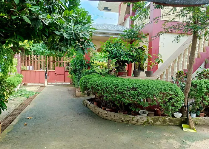 Peace Lily Studio Apartments Panglao