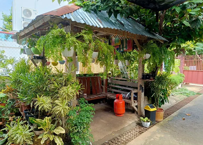 Peace Lily Studio Apartments Panglao