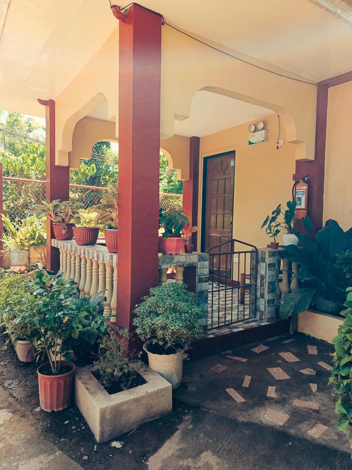 Peace Lily Apartment Panglao